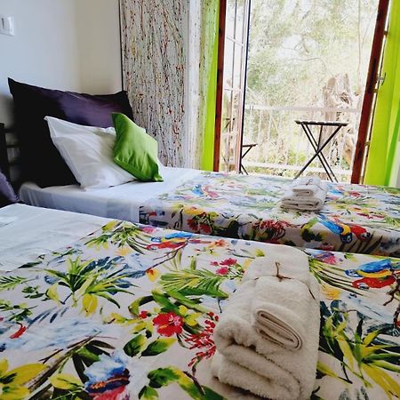 Thomas Art Hotel بيليكاس المظهر الخارجي الصورة