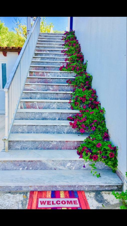 Thomas Art Hotel بيليكاس المظهر الخارجي الصورة